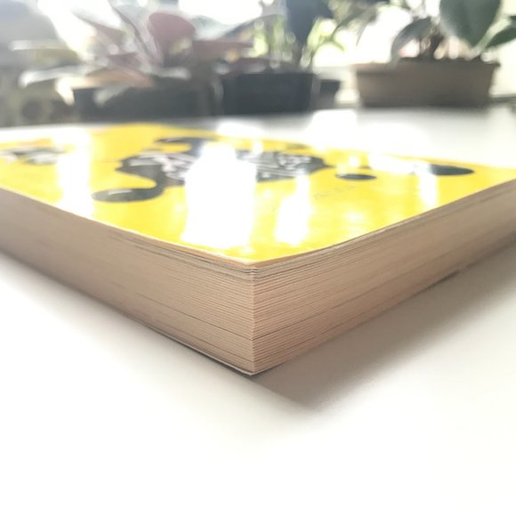 🛍️ 2 For $15 🛍️ Spilling Ink: A Young Writer's Handbook Paperback Book - Picture 7 of 10